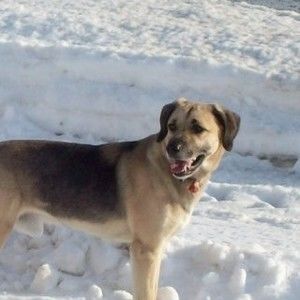 Meet your Posher, Valérie